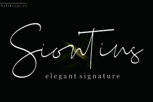 Siontins: The Elegant Signature Font for Upscale Design